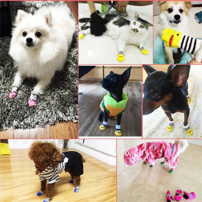 Soft Graphic Print Anti-Slip Traction Dog Socks