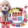 Multiple-multi-colored-dog socks