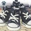 Blue-and-white-dog-sneakers