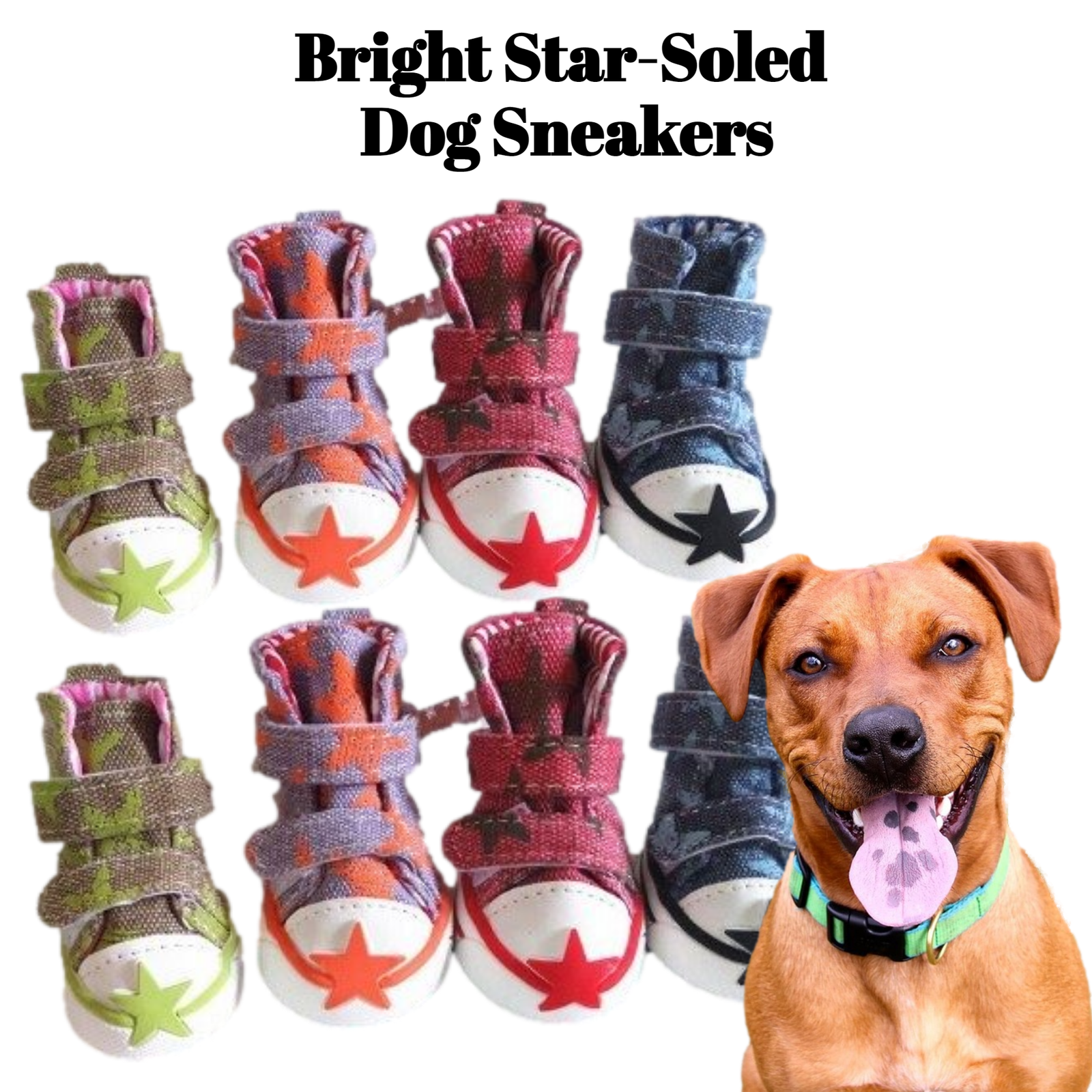 Bright star soled dog sneakers