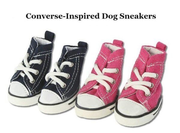 Pink-and-Black-Converse-Inspired-Dog-Sneakers