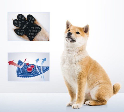 Orange and white dog next to black dog paw pads