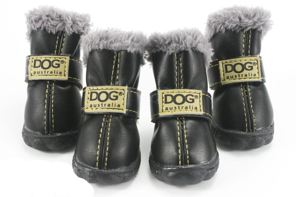 Black Dog Ugg Booties