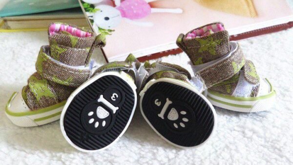 Green and gray star dog sneakers