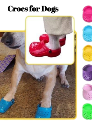 Crocs for dogs