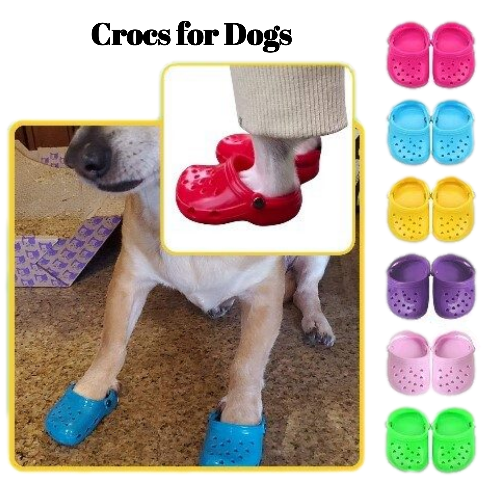 Crocs for dogs