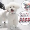 Bichon-frise-wearing-Artsy-multi-colored-dog-sneakers