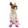 dog wearing a pink paw print socks