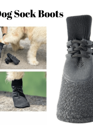 Gray-dog-sock-boots