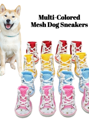 multi-colored-dog-boots