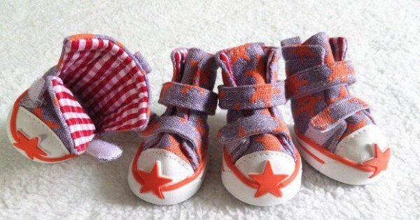 orange and white star dog sneakers