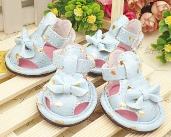 Pastel-blue-dog-sandals