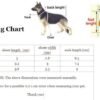 sizing chart