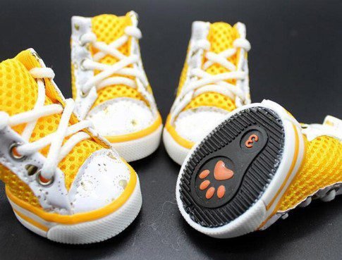 yellow dog sneakers